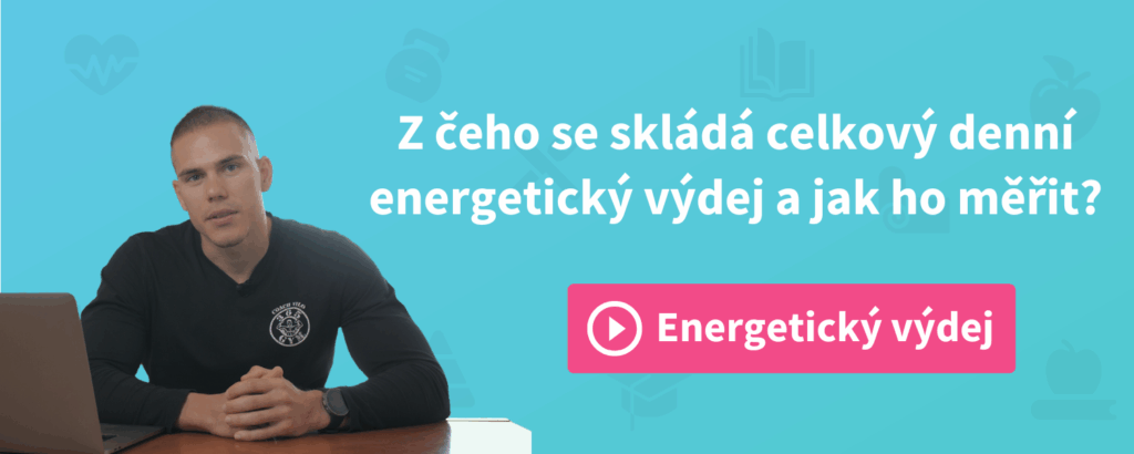 Energetický výdej